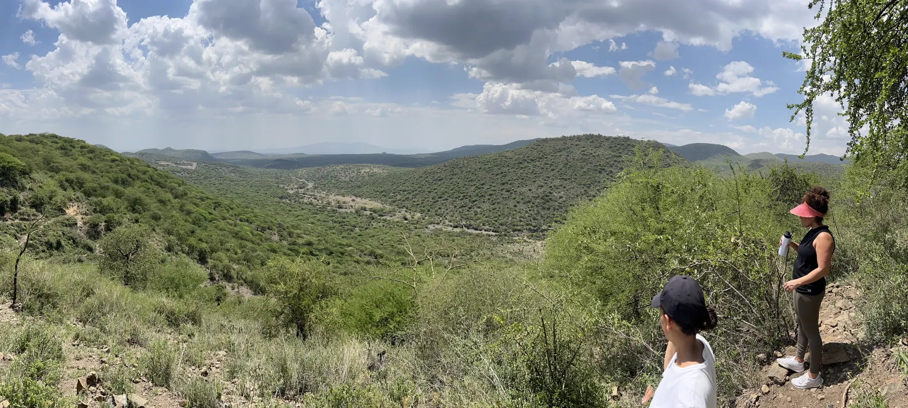 Guided Ridge Walks